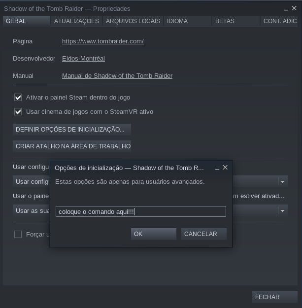 Steam Flathub Dicas Fast OS
